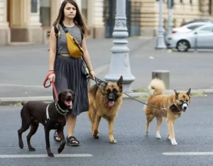 Girl walking with 3 dogs on the street